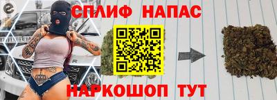дурь Сланцы